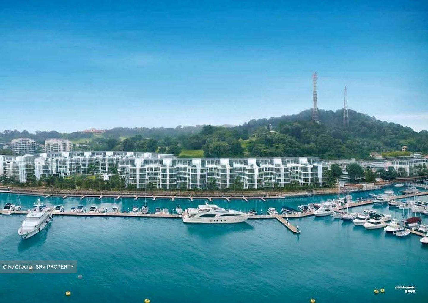 Marina Collection (D4), Condominium #636444731